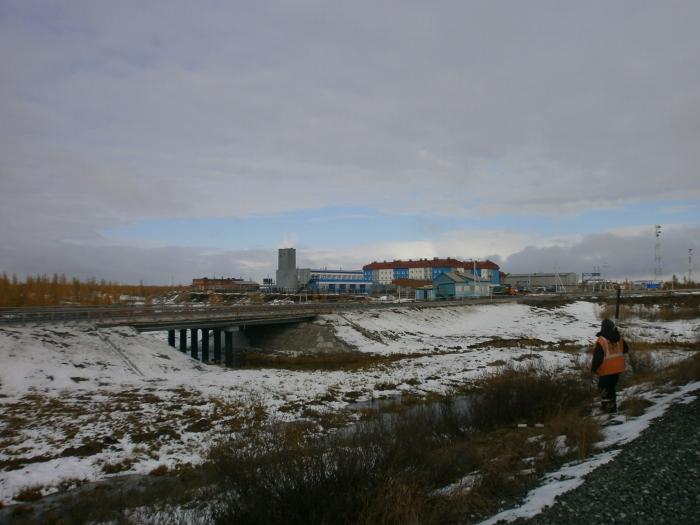 Погода в южном