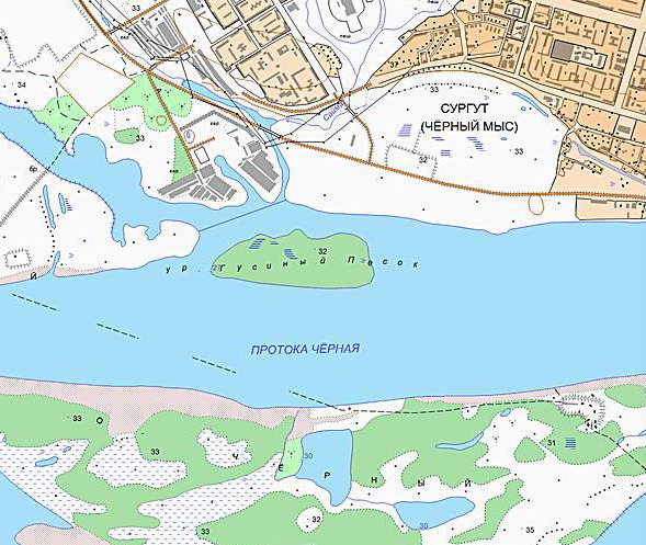 Протока свиная сургут карта