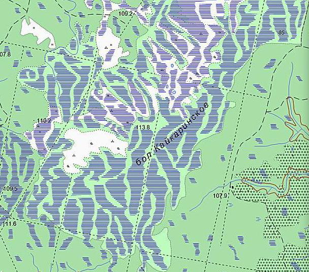 Где находится болотное. Тюгурюкское болото. Болотистая местность в России на карте. Болотная местность на карте. Болото на карте.