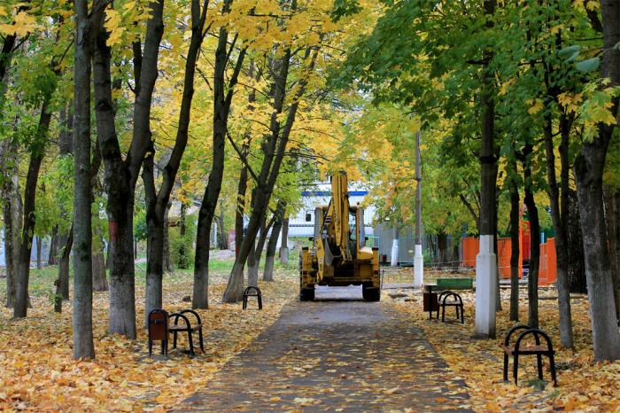 Щелковский городской. Щёлковский городской парк культуры. Городской парк Щелково. Парк культуры города Щелково. Щелковский Центральный парк.