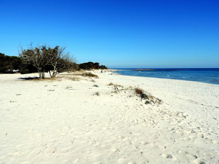 Spiaggia Di Cala Ginepro