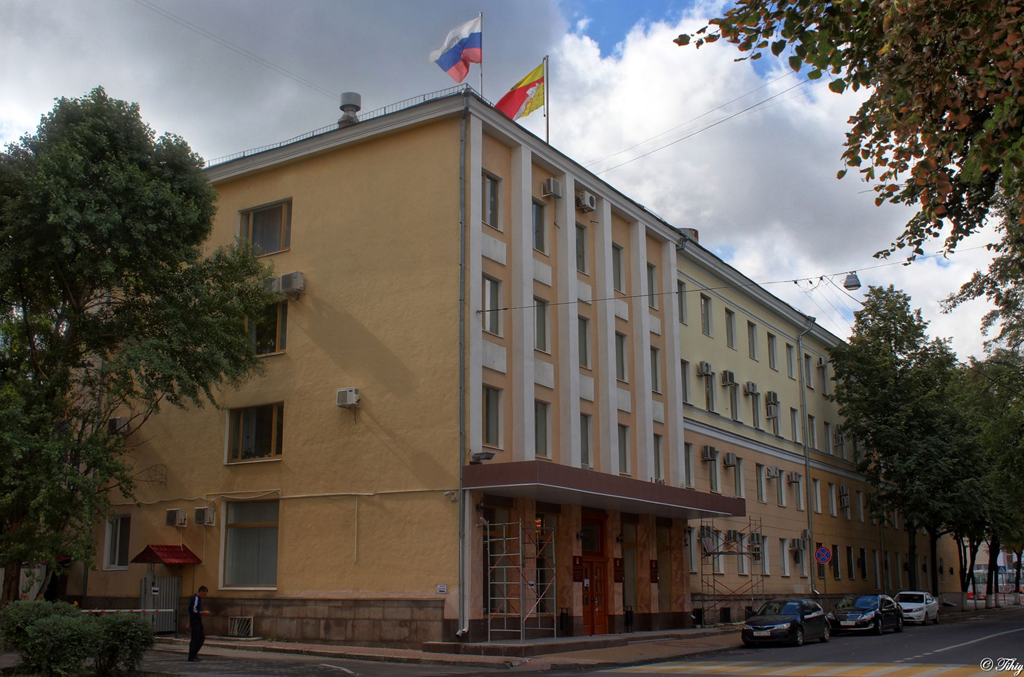 Воронежский адрес. Воронежская городская Дума. Дума город Воронеж. Городская Дума Воронеж здание. Здания Думы Воронежской области.