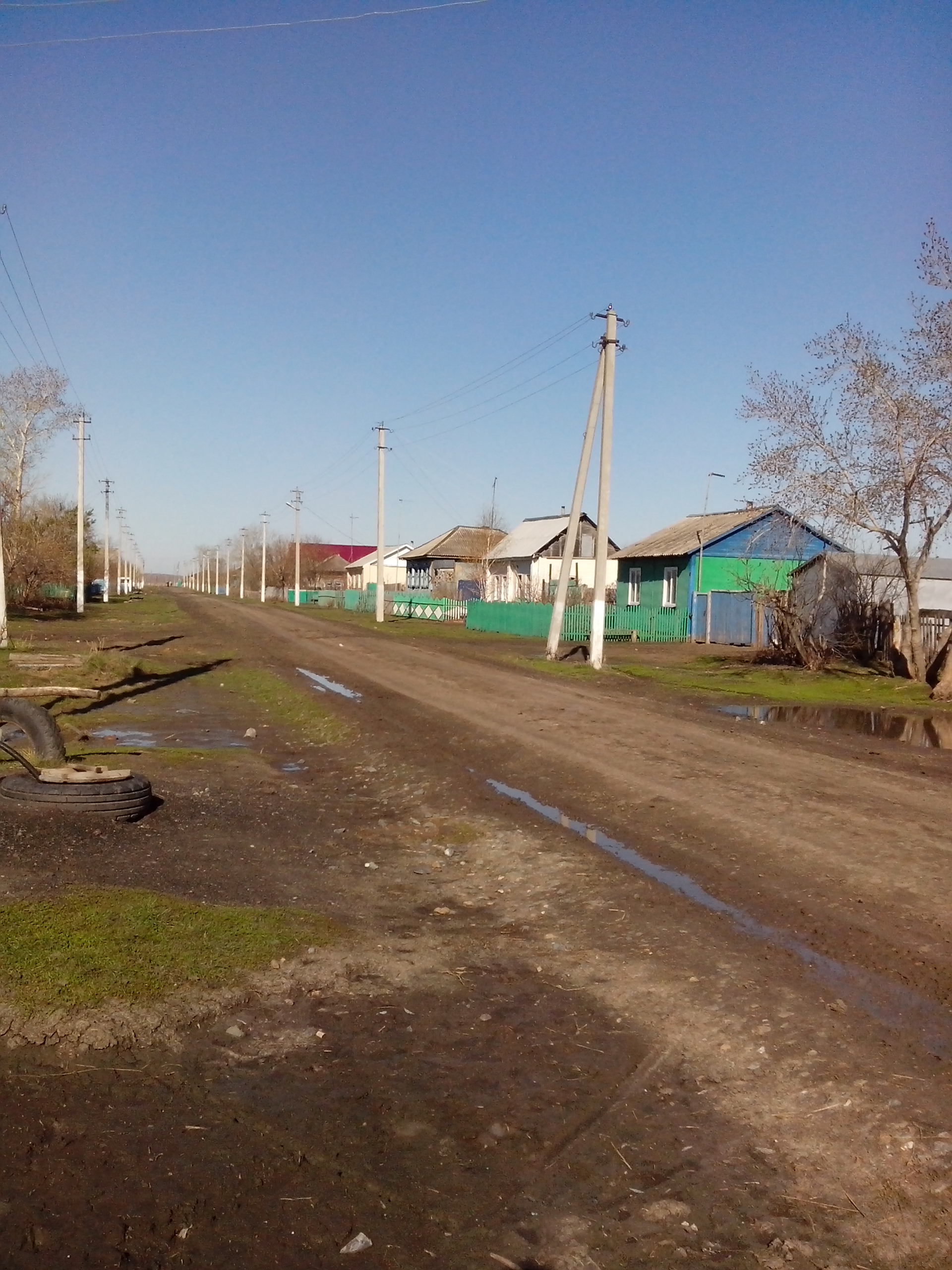 Погода николаевка татарский район новосибирской области