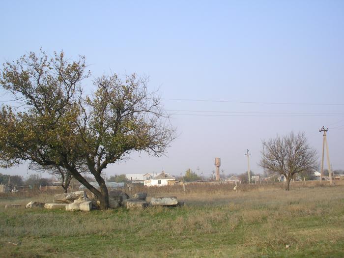 Село ровное. Село ровное Красногвардейский район. Село ровное Крым. Республика Крым Красногвардейский район село ровное. Ровное Крым менониты.