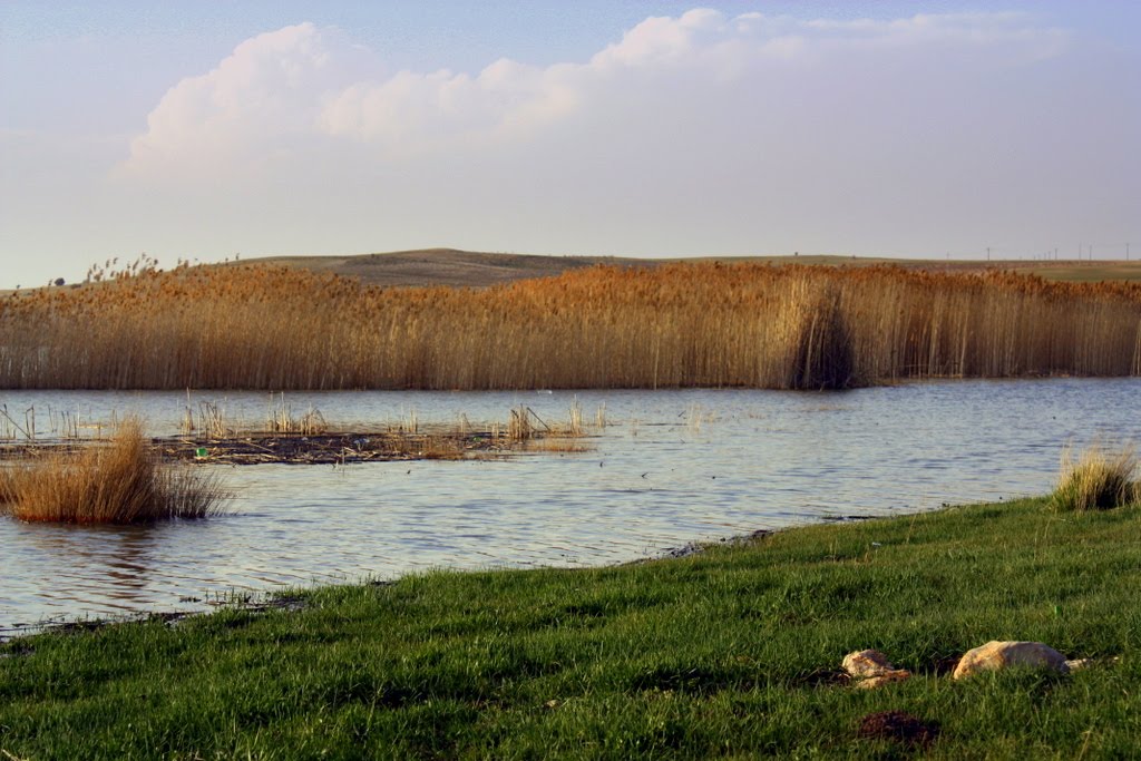 نورآباد