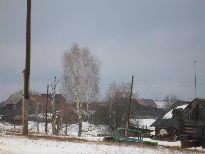 Погода в левичи косинский