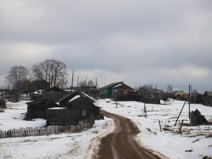 Погода в левичи косинский