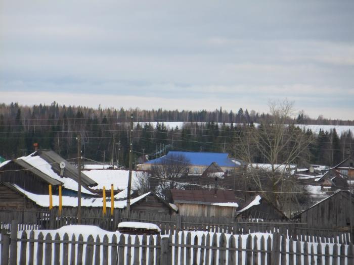 Погода в левичи косинский