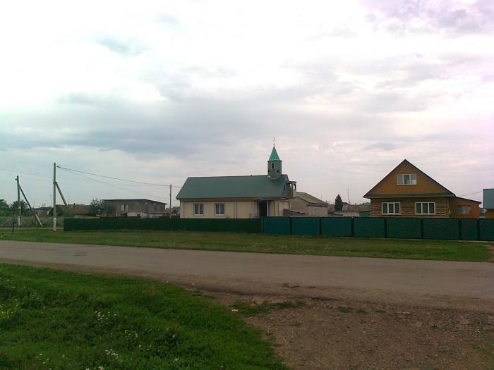 Село красный зилим башкортостан. Зилим Караново Гафурийский район. Деревня Зилим Караново. Деревня красный Зилим.