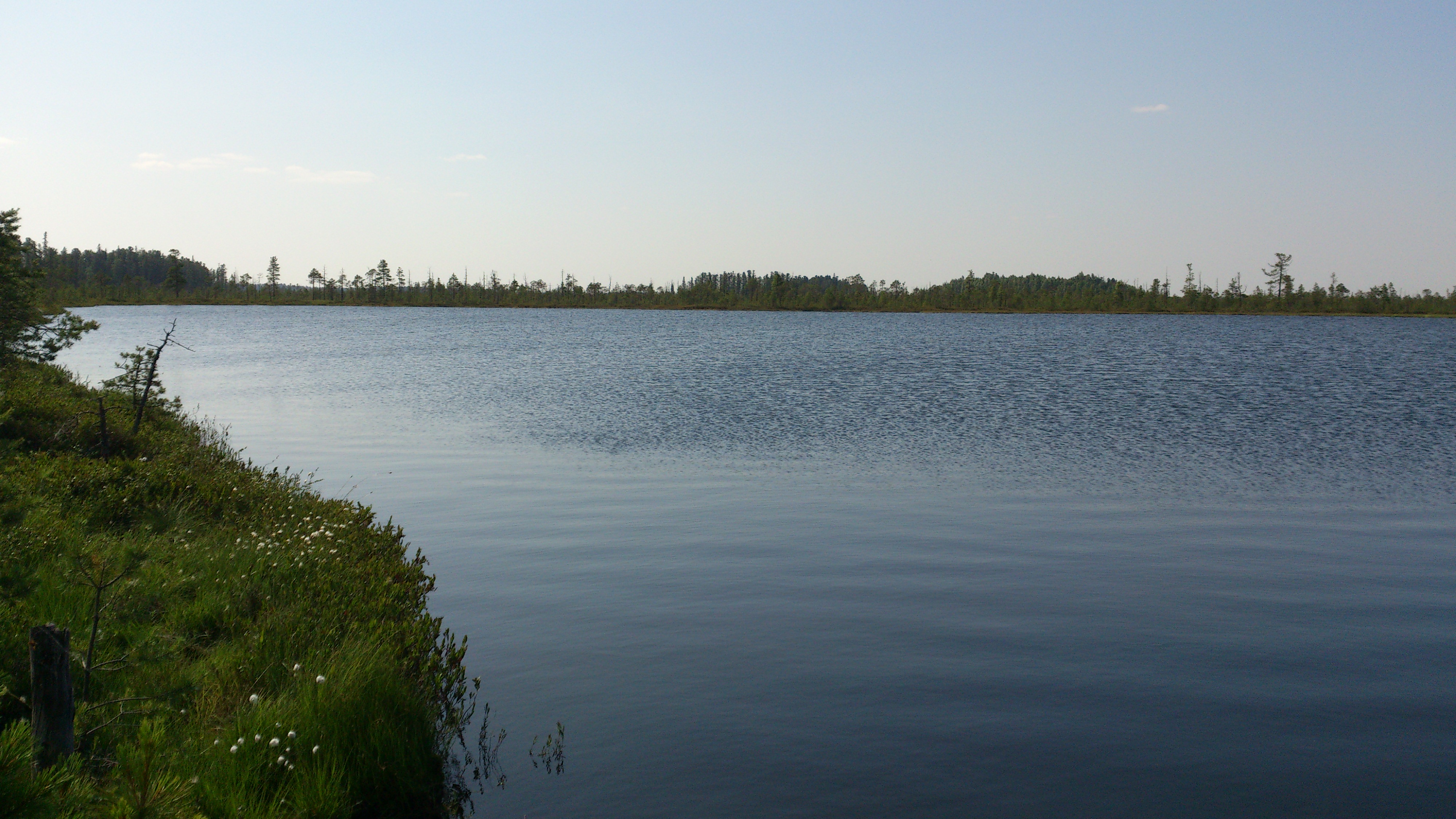 Озерное 1 отзывы. Городецкий район озеро мартюгино. Озеро первое Пятовское Тверь. Мелководное озеро. Шекшема озеро на первом.