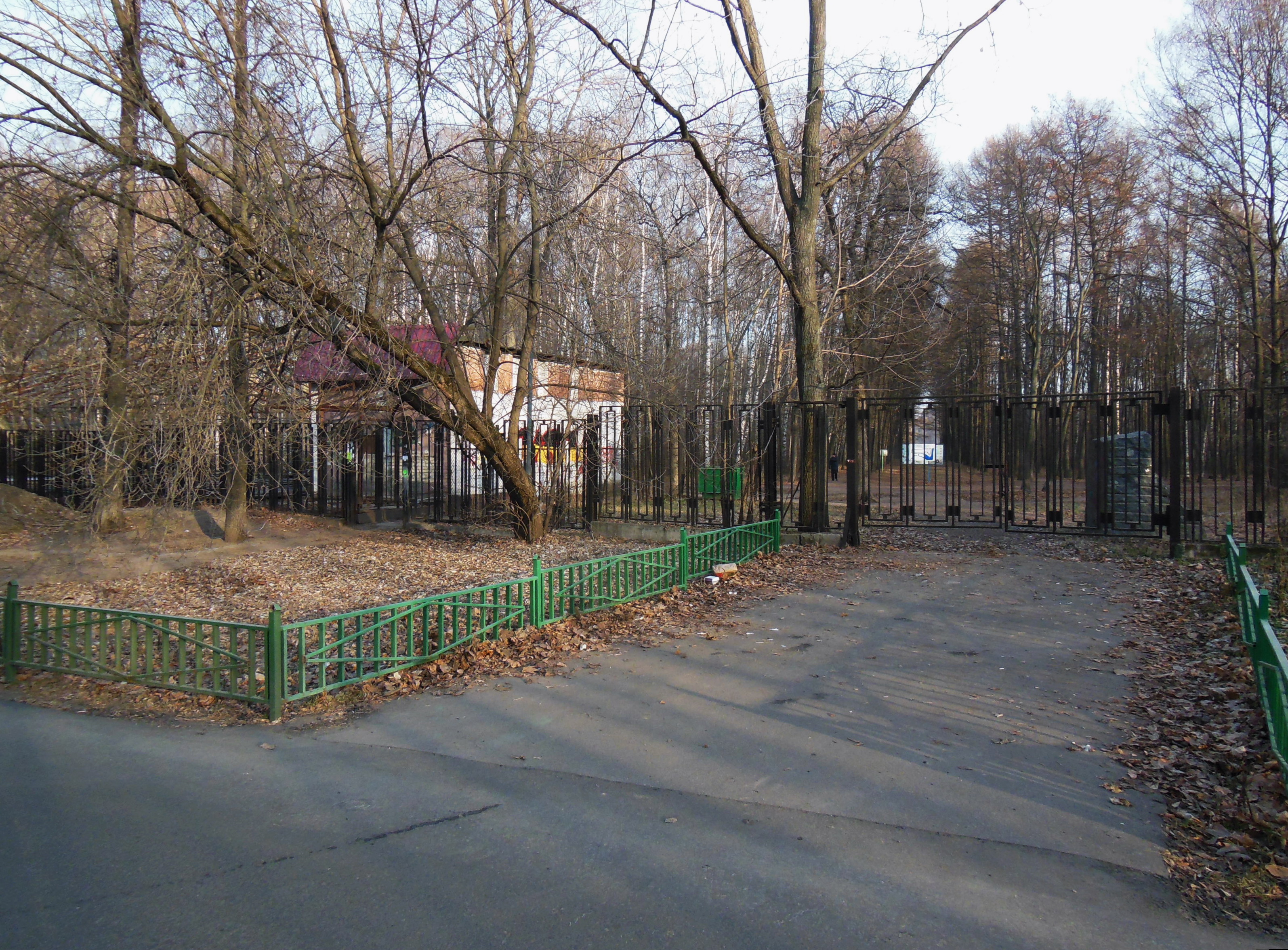 тимирязевский парк