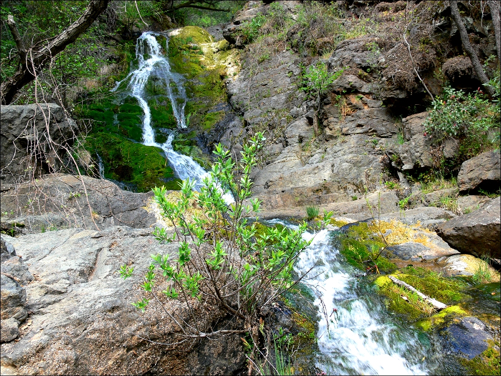 Codfish Falls