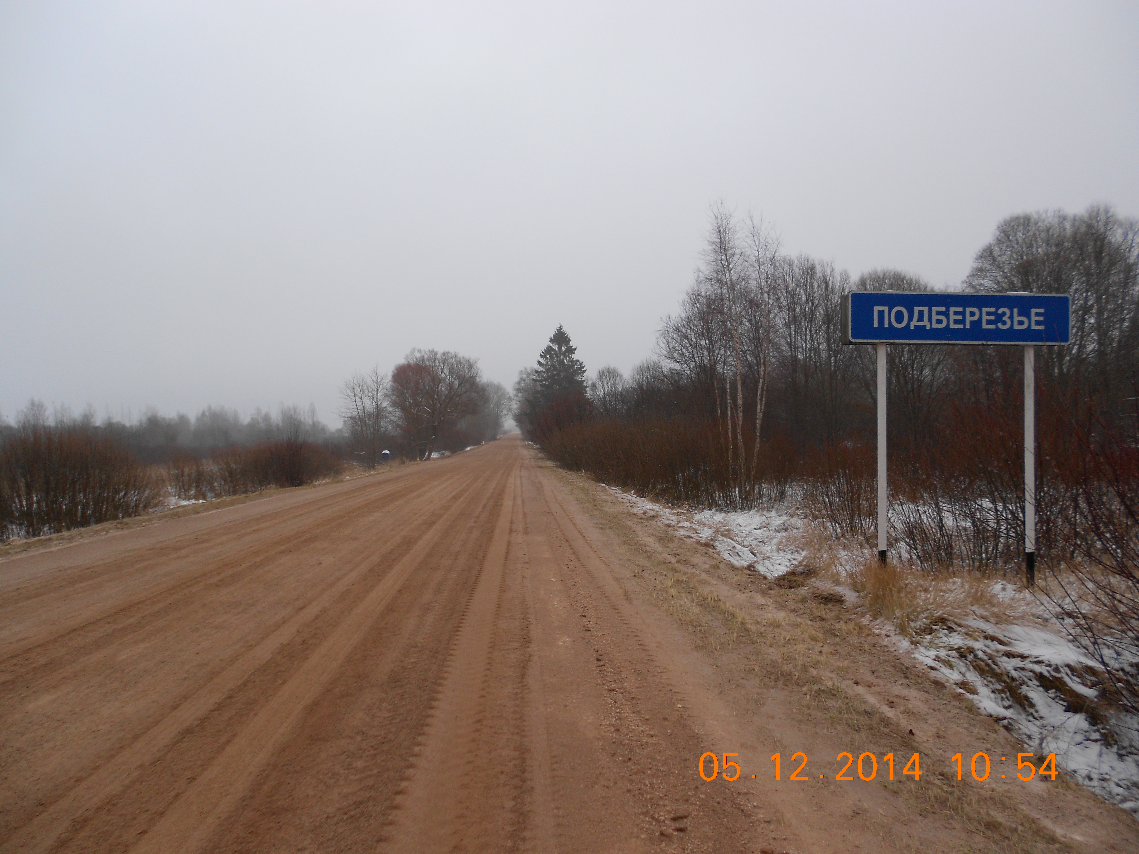 Подберезье город