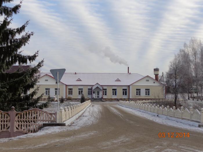 Село витебский. Холомерье больница Самарин. Холомерская Сельская больница сайт. Витебская область Городокский район д Холомерье. Витебская область Городокский район деревня Холомерье больница.