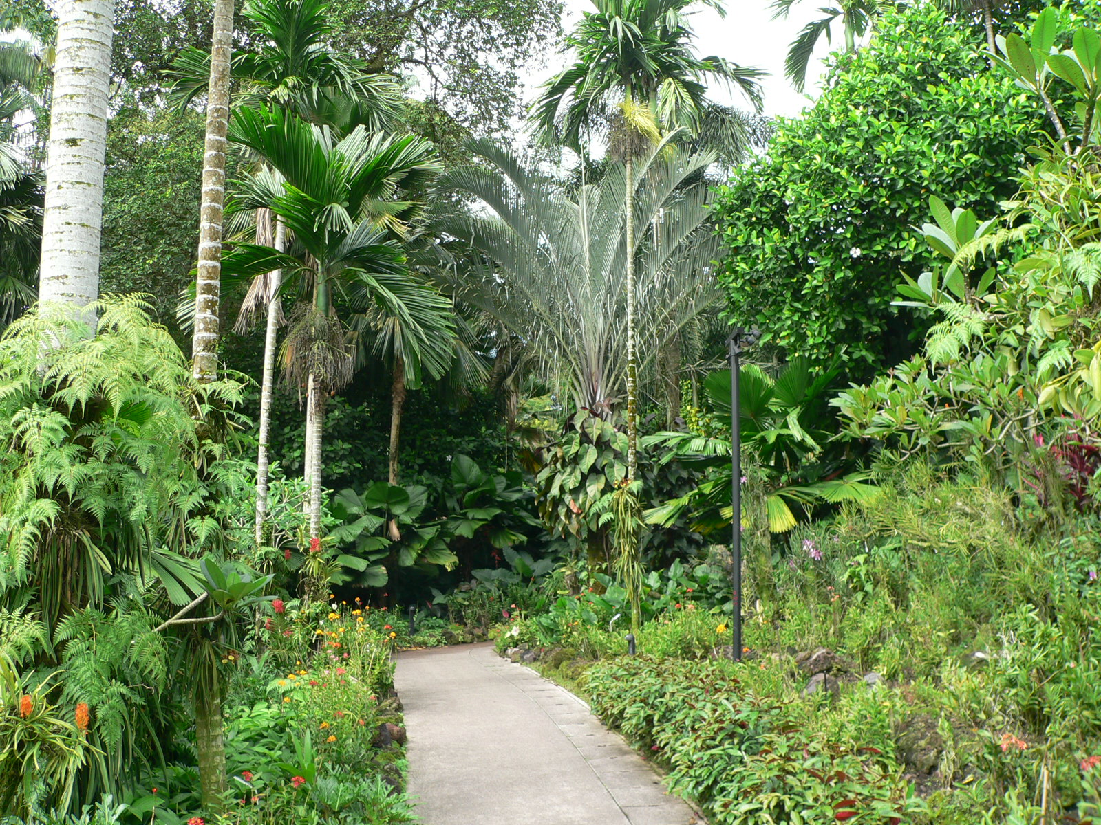 Singapore Botanic Gardens - Republic of Singapore