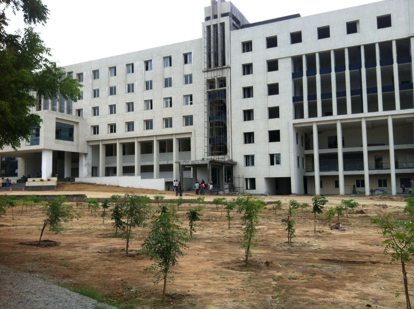 GITAM School of Technology | university