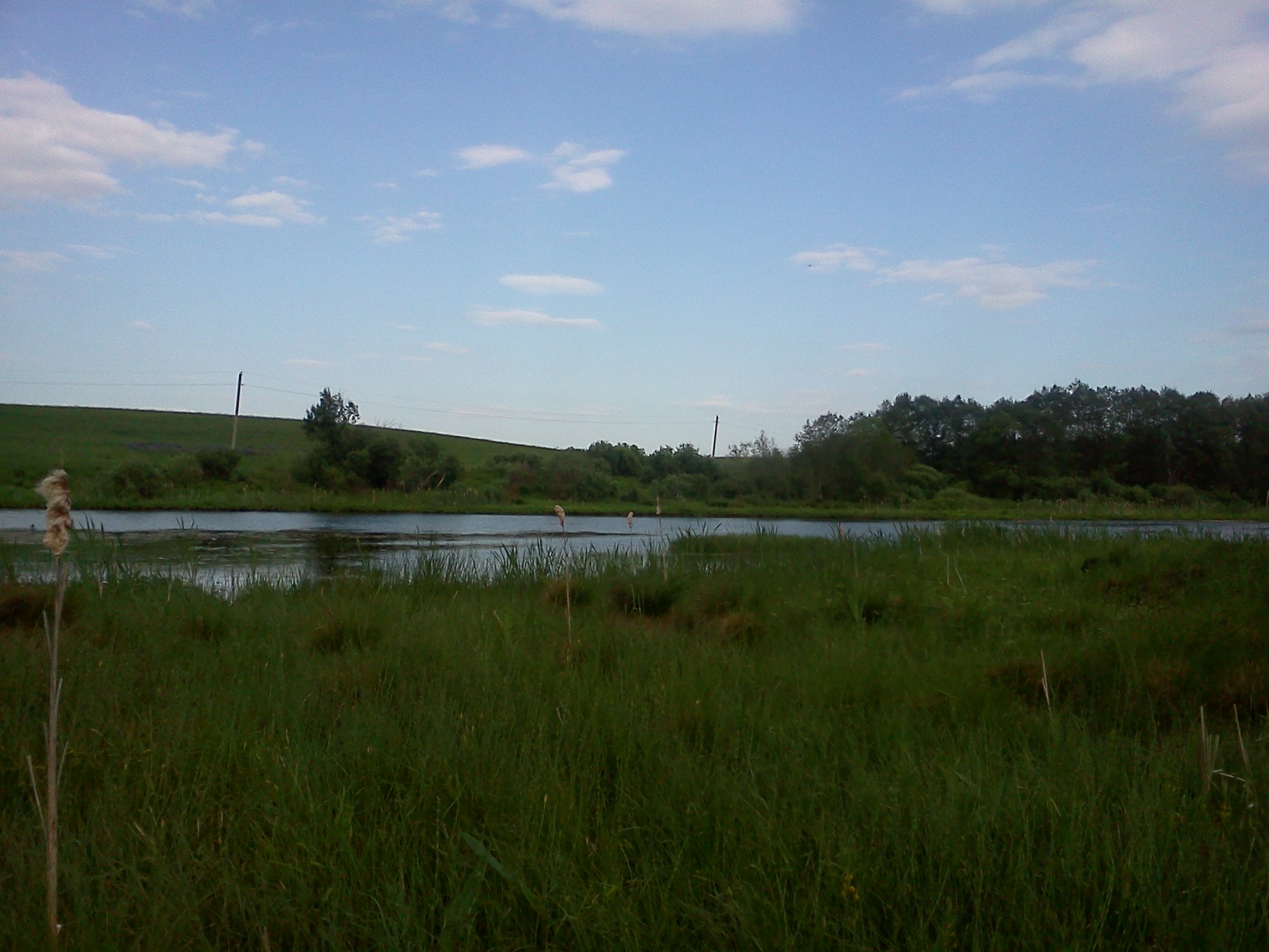 Село троицкое участок. Село Троицкое Клинский район. Троицкое (деревня, городской округ Клин). Деревня Троицкое Московская область. Село Троицкое Клинский район Московская область.