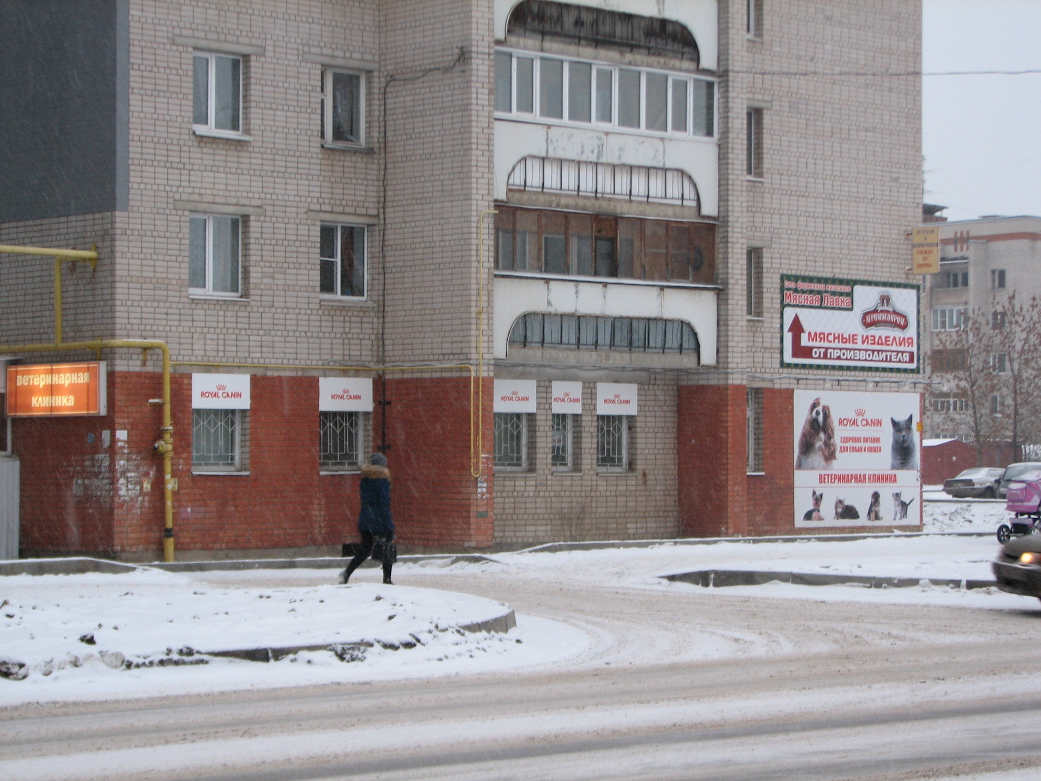 Возрождение вологда. Вологда клиника Возрождение Карла Маркса. Ветеринарная клиника на Карла Маркса Вологда. Вет клиника Возрождения Вологда. Возрождения клиника Вологда Псковская.