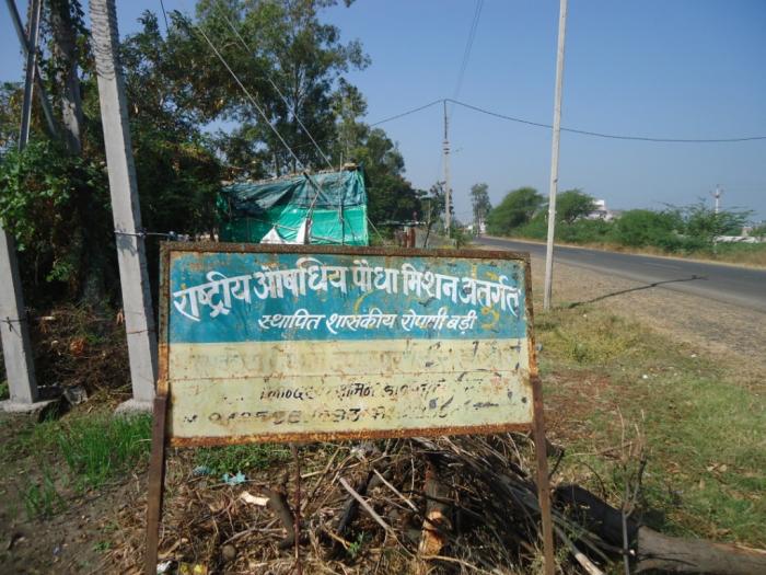 Government Nursery Depalpur Indore