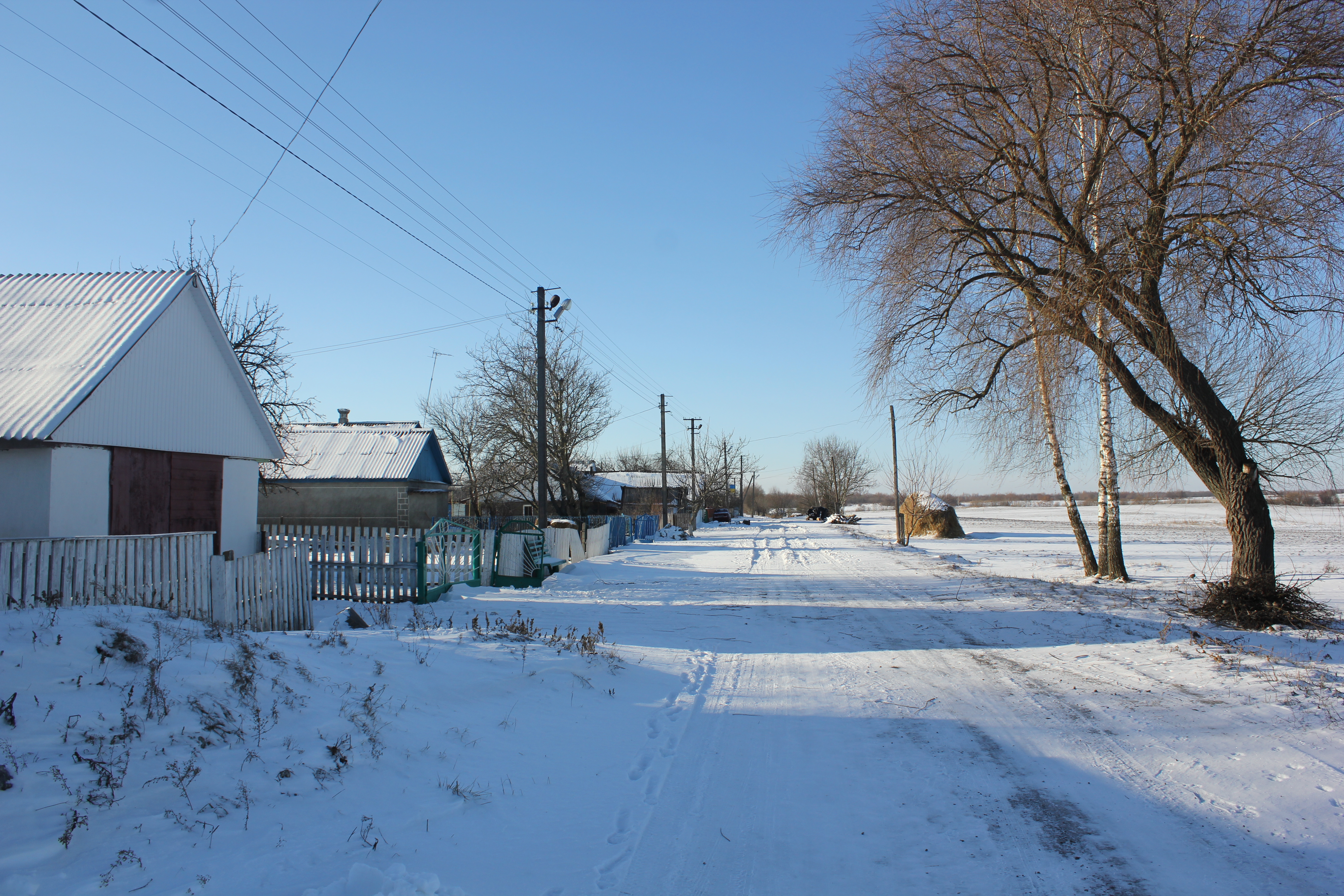 Село романовка чистоозерный район. Романовка Украина. Романовка Житомирская область. Попельнянский район Романовка. Романовка Новосибирская область.