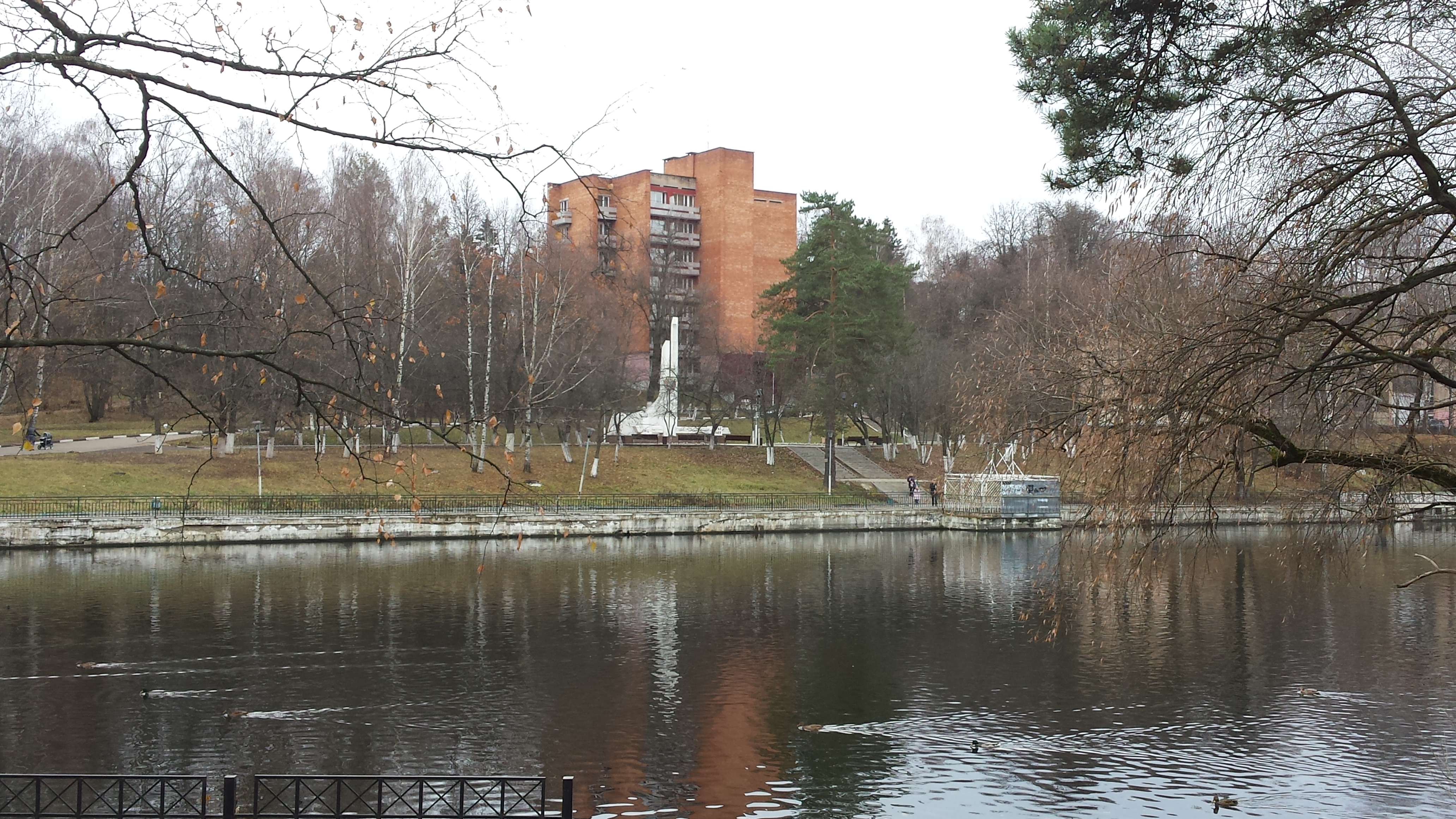 Власиха московская область