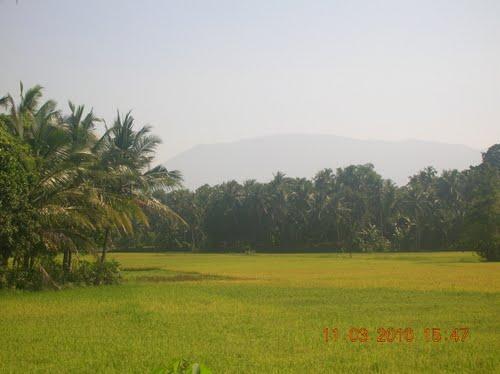 Cot Madhi, Village