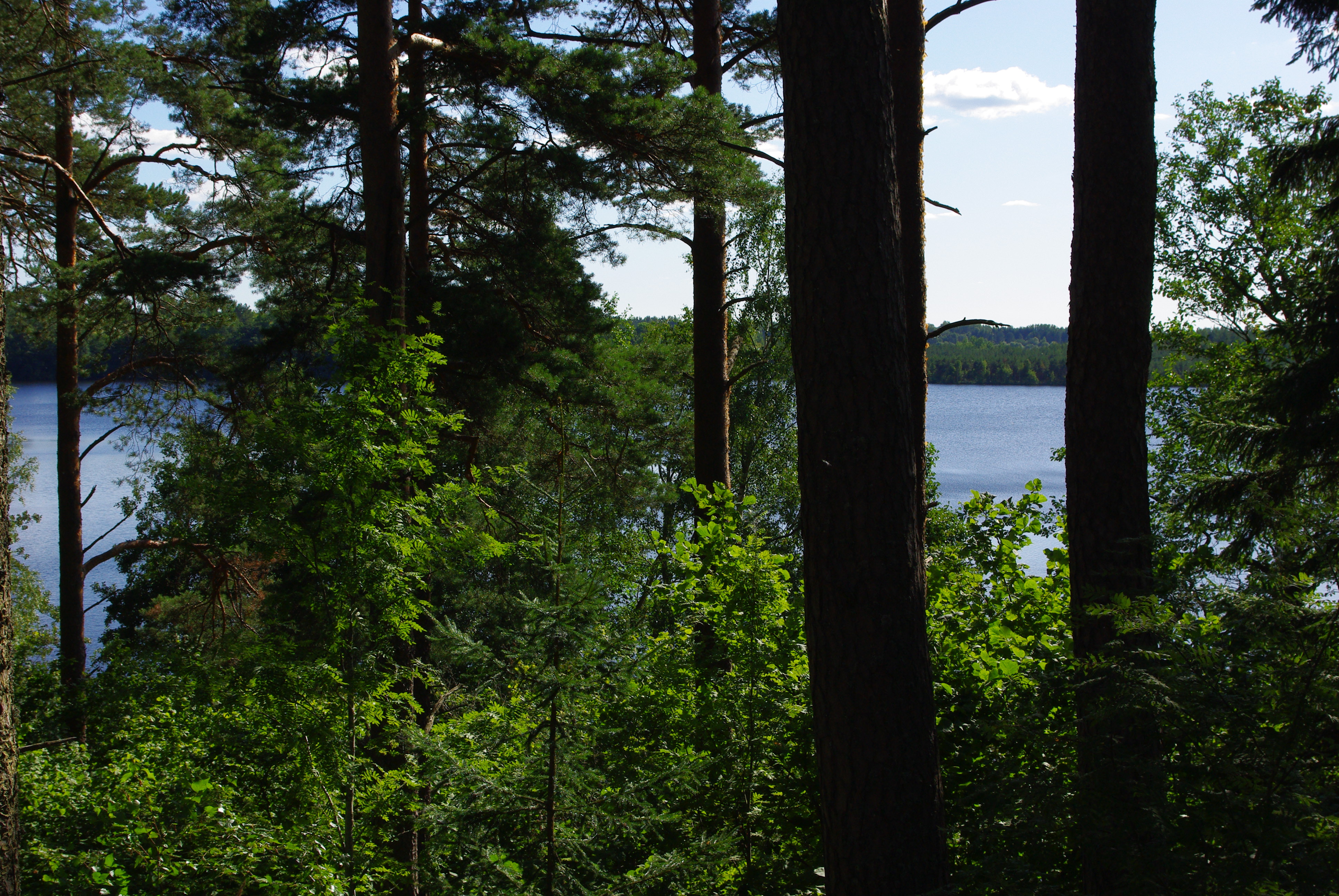 Uljaste Raba Uljaste Lake - Uljaste