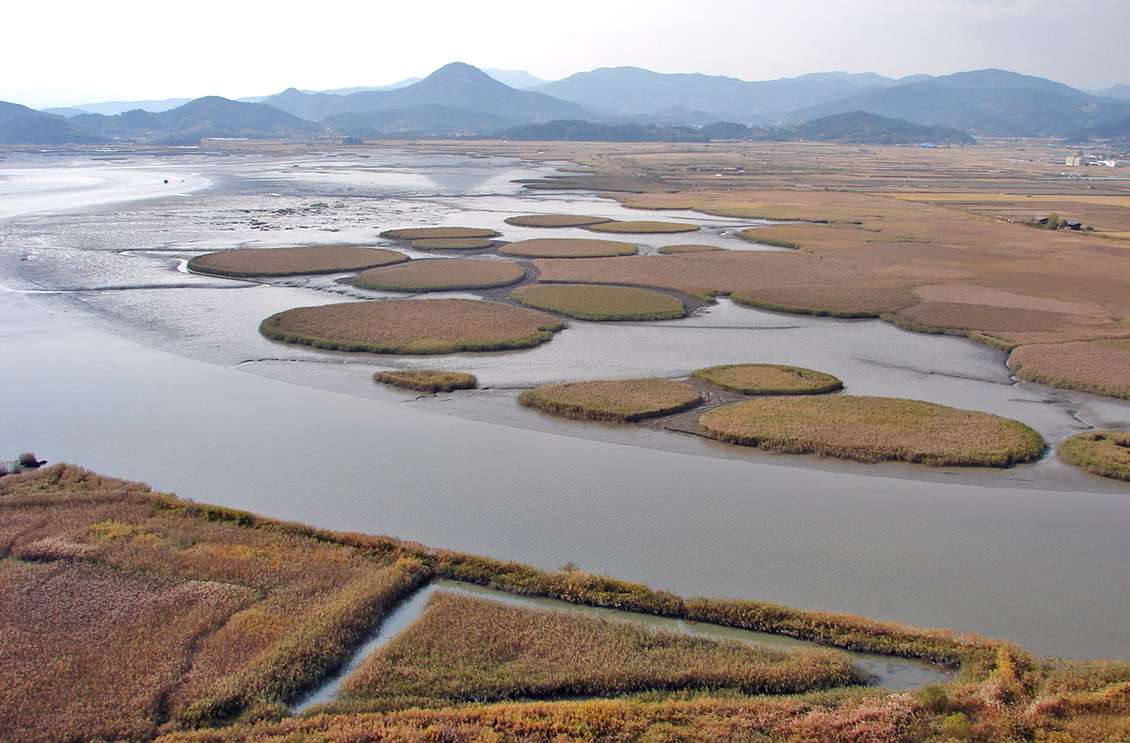 Suncheonman Ecological Park