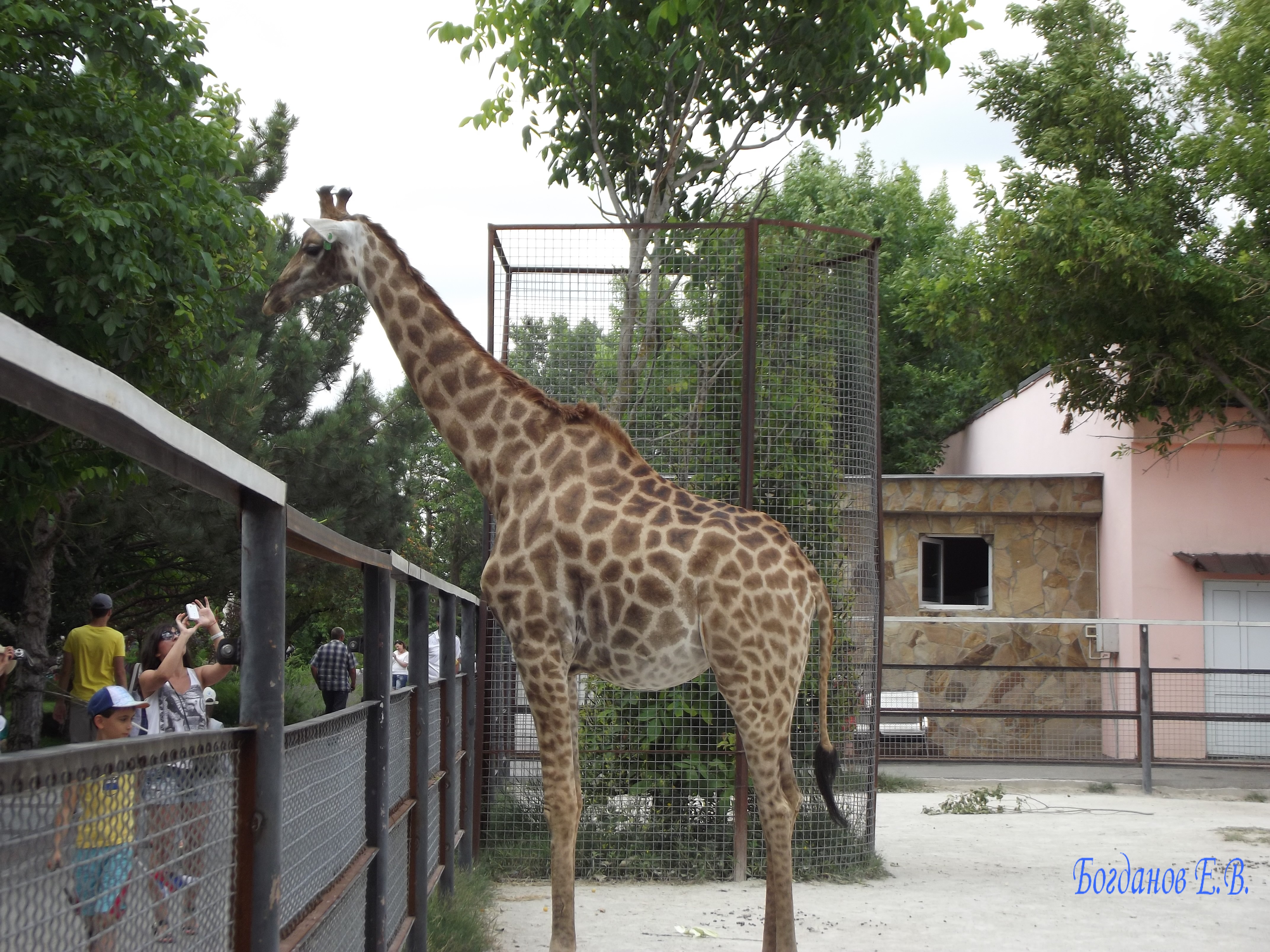 нюрнберг зоопарк. территория московского зоопарка. вольеры московского зоопарка. павильон тропический мир новосибирский зоопарк. московский зоопарк вольеры.