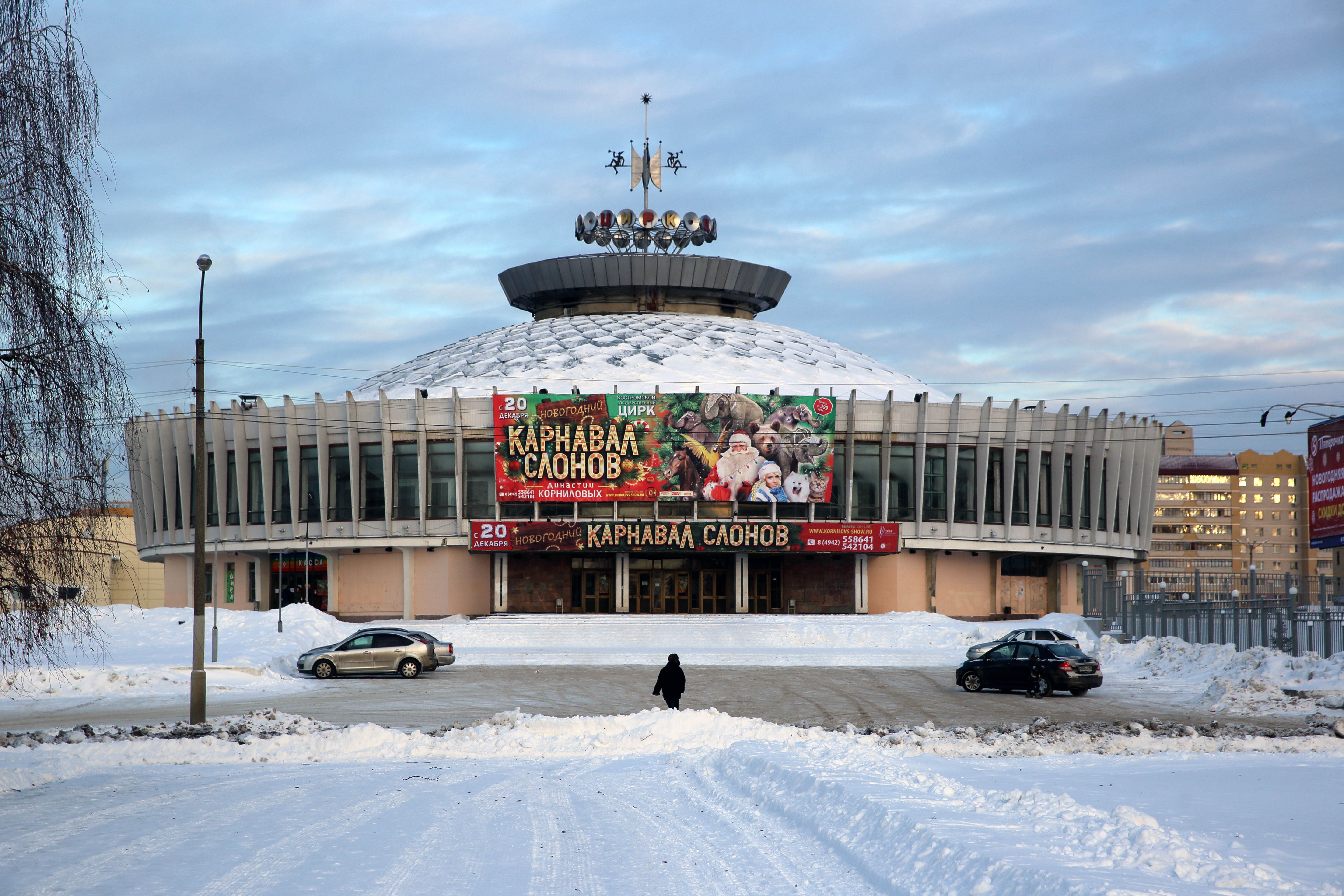 Фото цирка в костроме