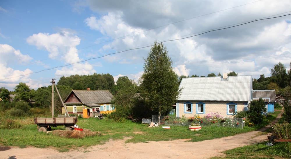 Деревня дубровка. Дубровка Псковская область Себежский район. Себежский район деревня Дубровка. Деревня Дубровка Псковская область Себежский район. Дубровка Дедовичский район.