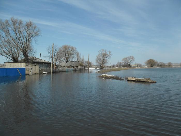 Погода в подстепном алтайский край. Белово Алтайский край Ребрихинский район. Село Белово Ребрихинский район. Зимино Алтайский край Ребрихинский район. С Подстепное Ребрихинский.