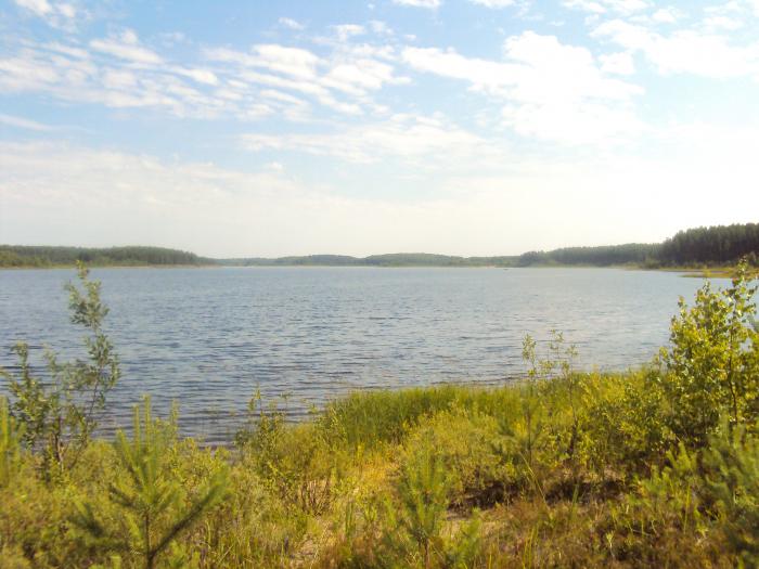Шерегодро озеро в Новгородской области: отдых с рыбалкой и кемпинг