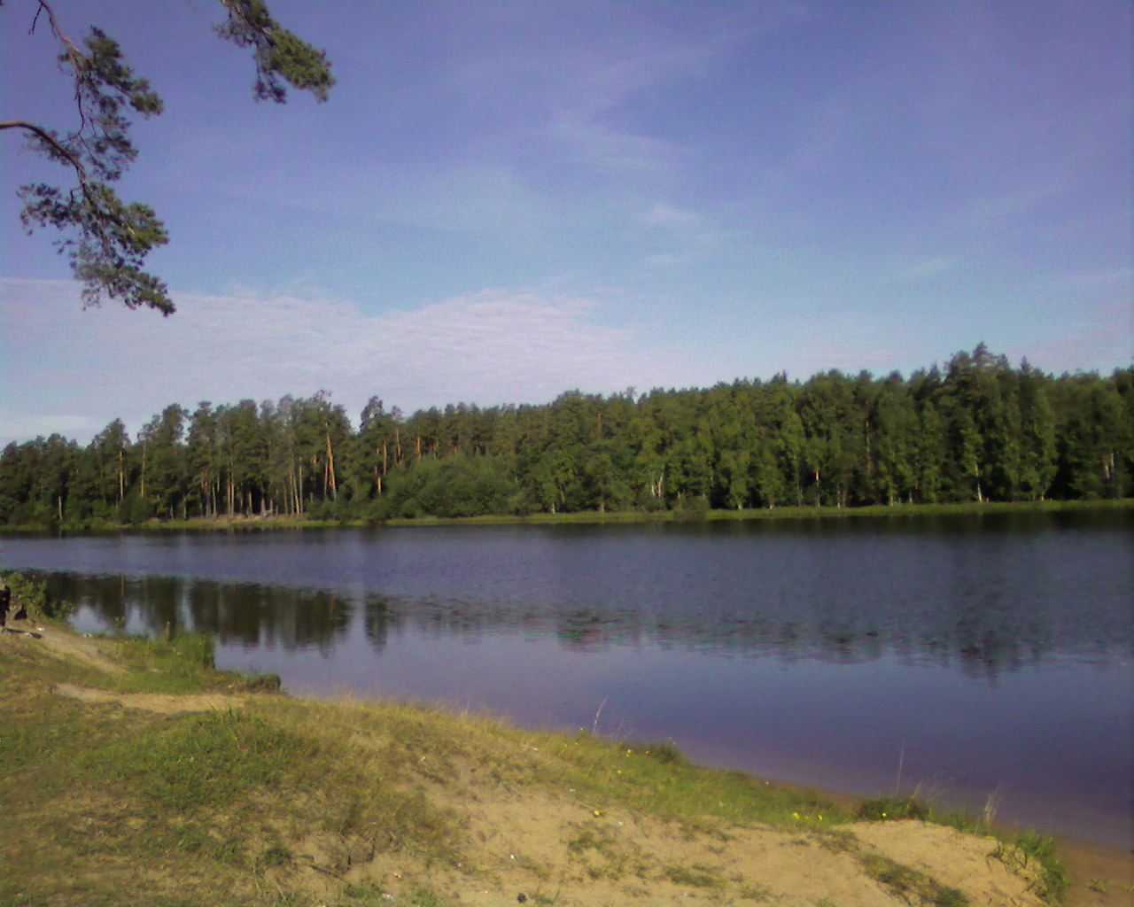 Озеро чёрное Московская область Солнечногорский район