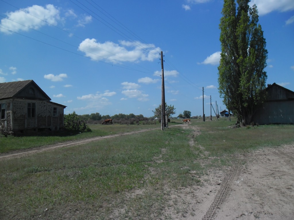 Хутор большой волгоградская область серафимовичский. Клетско Почтовский Серафимовичский район Волгоградская область. Хутор Кепинский Серафимовичский район Волгоградская область. Хутор Горбатовский Волгоградская область.