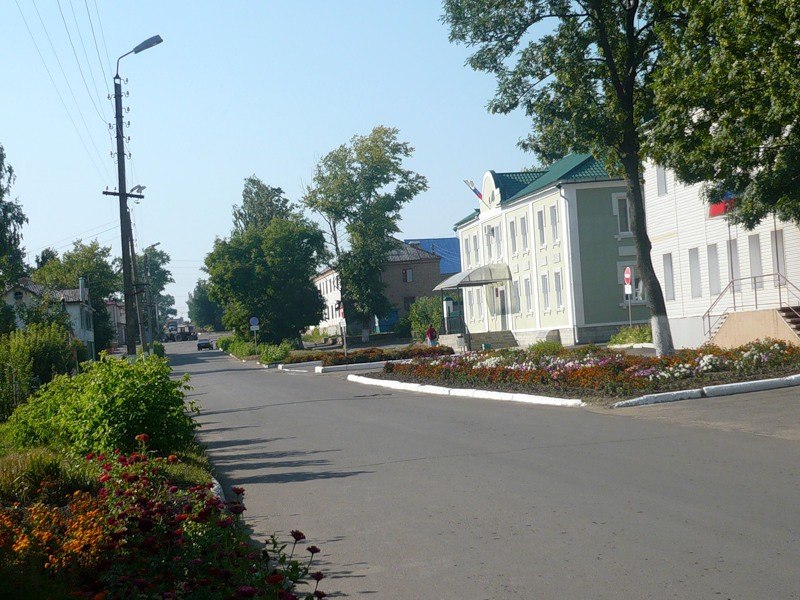 Погода в новосиле. Новосиль Орловская область. Новосиль Орел. Администрация Новосильского района, Новосиль. Новосиль Карла Маркса.