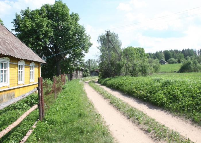 Деревня волость. Деревня Крушинино Псковской области. Деревня Маслово Опочецкого района. Опочка деревня Маслово. Крушинино Опочецкий район.