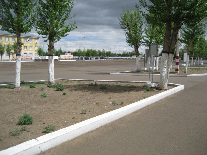 Вч 06705. Военный городок Борзя 3. Голубая дивизия Борзя Забайкальский. ВЧ Борзя Забайкальский край. Борзя воинская часть.