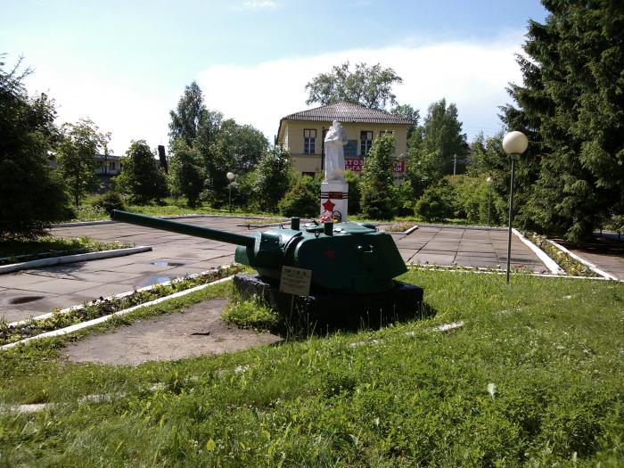 Поселок мга. Мга Ленинградская обл. Поселок Мга Кировский район. Поселок Мга Ленинградской обл. Пгт Мга Кировского района Ленинградской области.