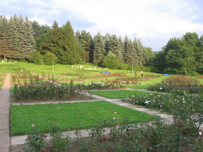 Сайт valley. Долина роз Кишинев. Долина роз страхово. Долина роз Краснодар. Деревня страхово Долина роз.