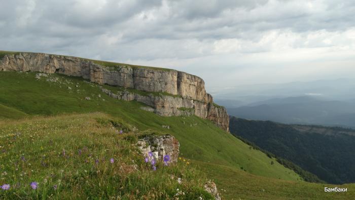 Плато Бамбаки