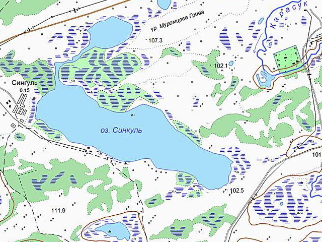 Карта крутинского района омской области подробная со спутника