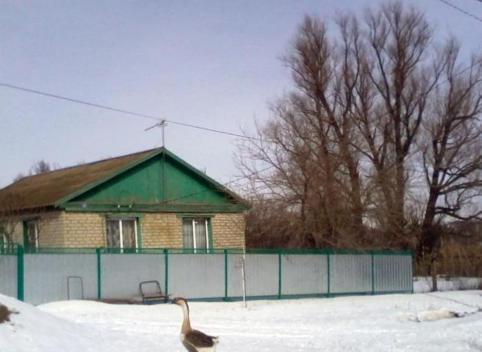 Погода верхнее алябьево. Верхняя Бузиновка Клетский район Волгоградская область. Хутор верхняя Бузиновка.