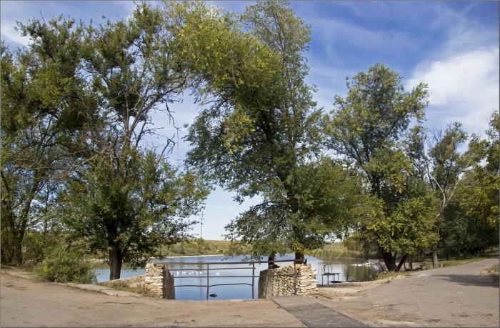 Село желтое. Село жовте Пятихатский район. Жёлтое (Пятихатский район). Село желтое Днепропетровской области. Апостоловский район Украина.