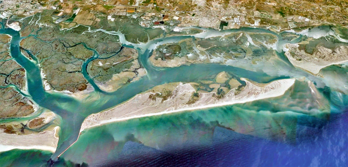 Parque Natural Da Ria Formosa