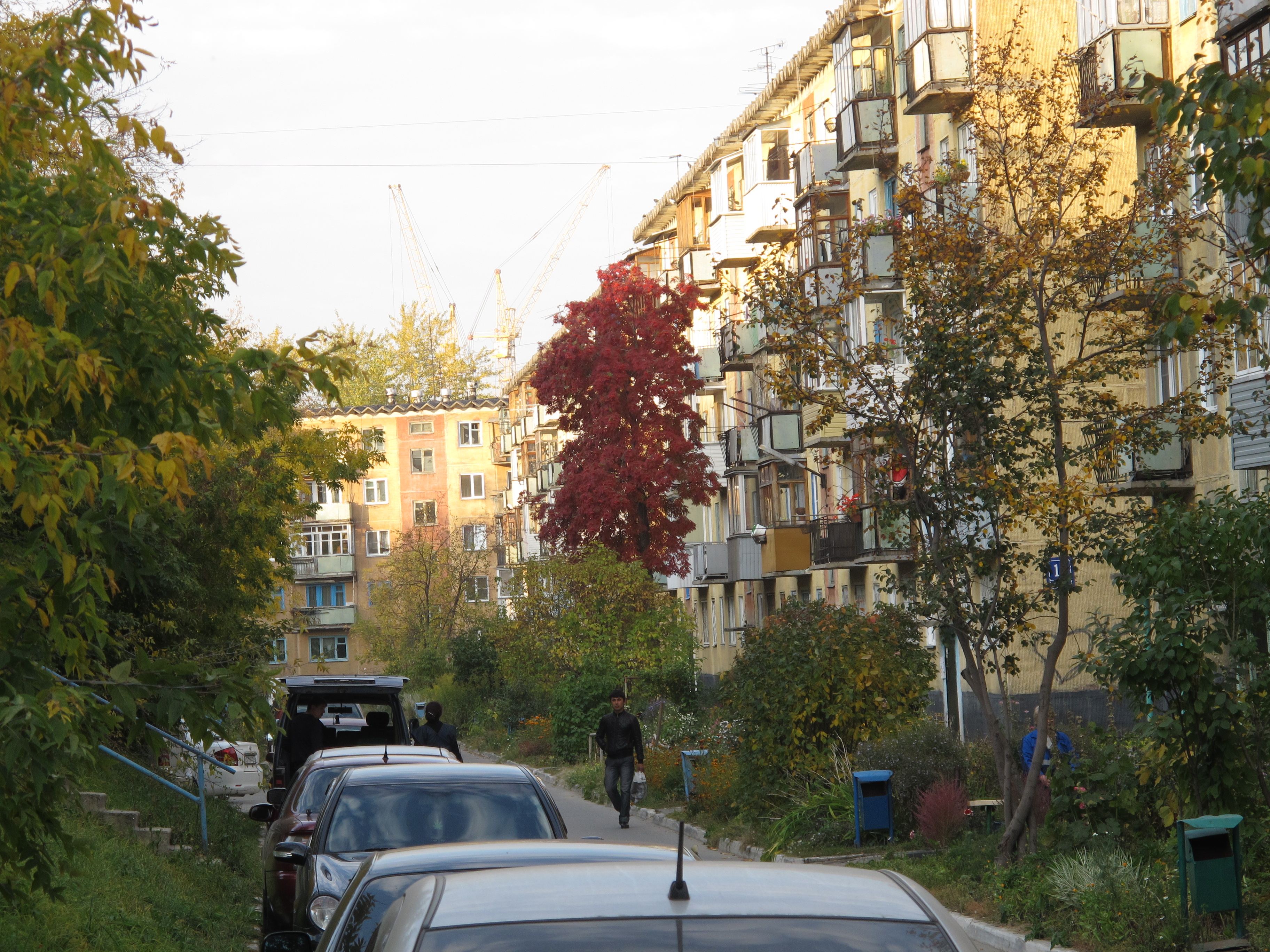 Новосибирск 11. Ул танковая Новосибирск. Танковая 11 Новосибирск. Танковая 11/1 Новосибирск. Ул. танкистов Новосибирской.