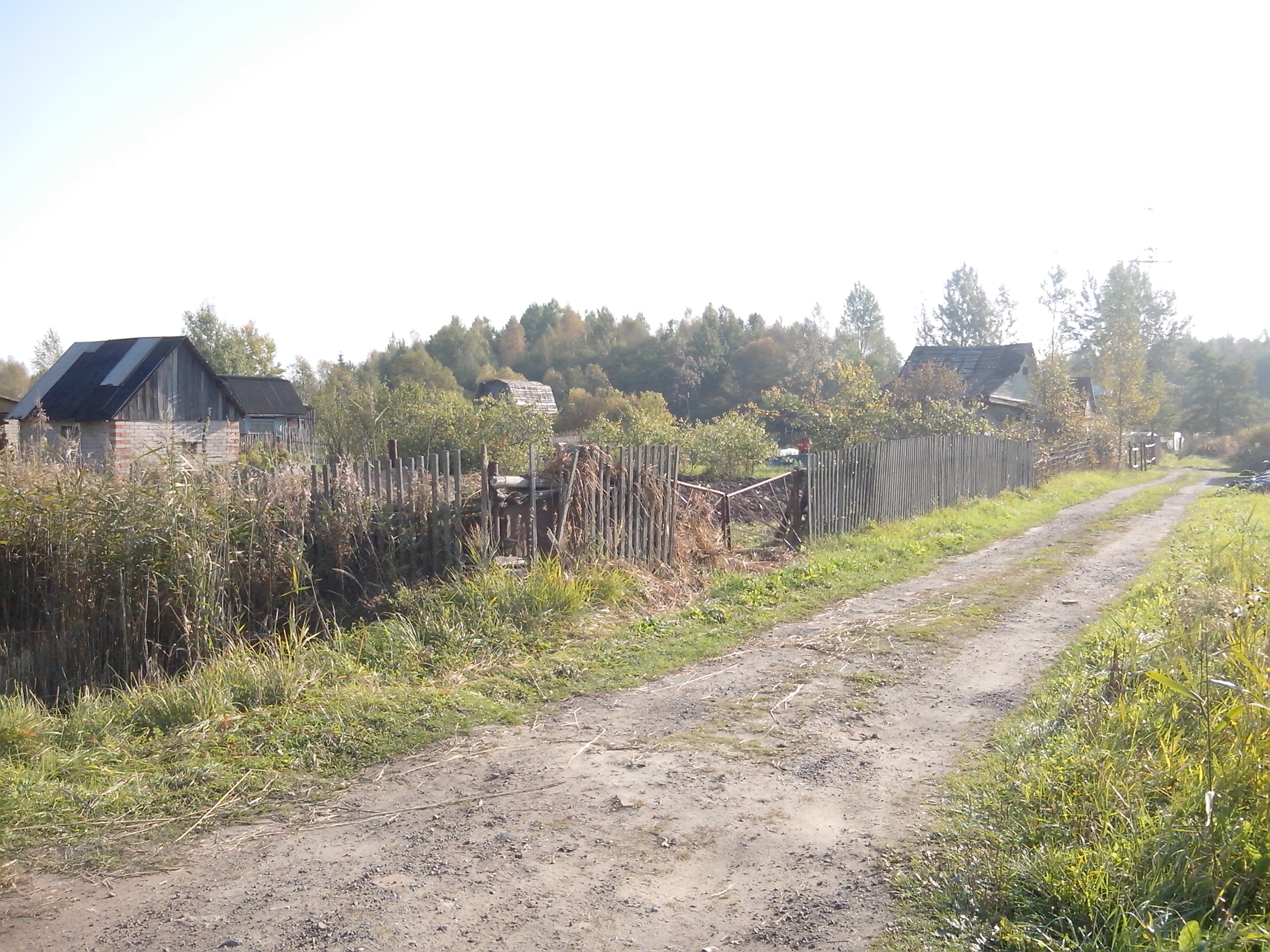 Слобода новгородская область