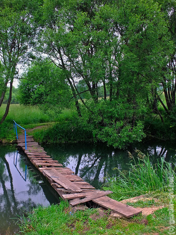 Мансуровский парк новодеревеньковский район фото