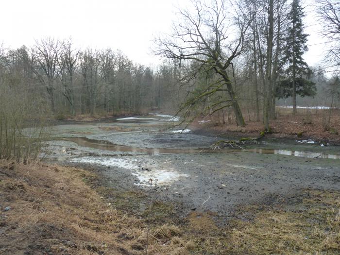 Водоёмы Ропша