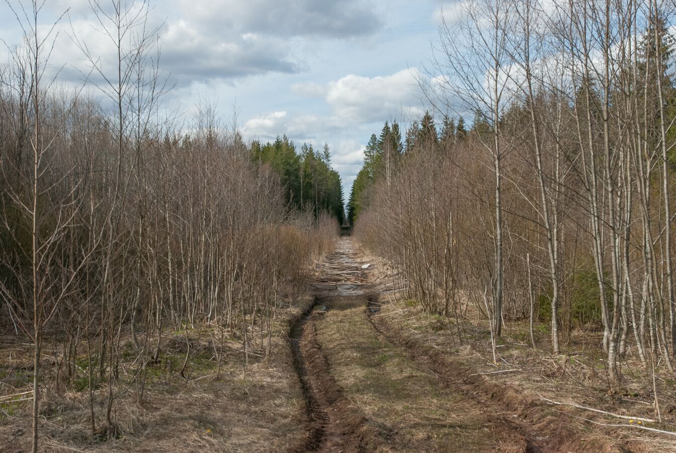 река пола новгородская область